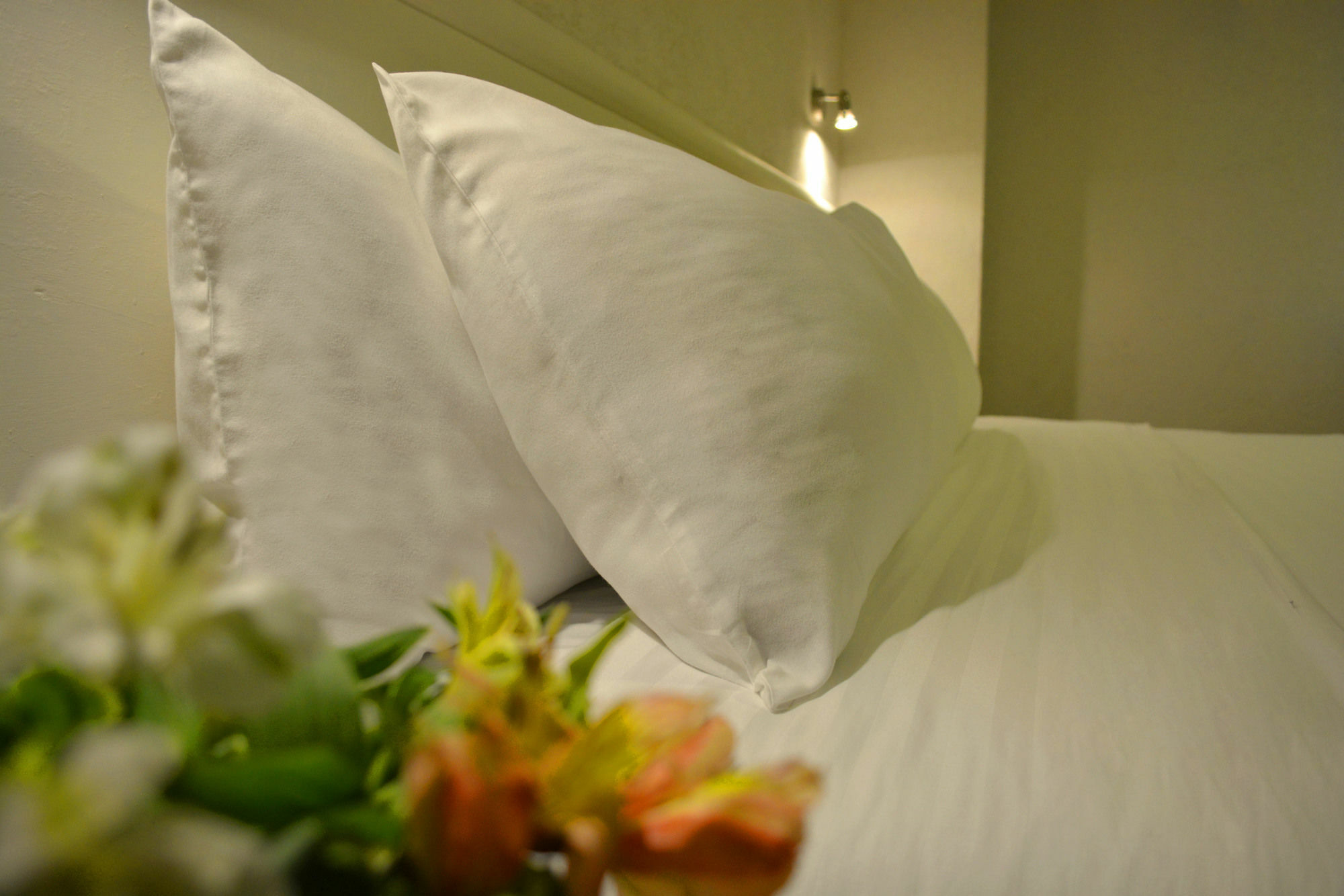Eco Express Hotel Zamora Zamora de Hidalgo Ngoại thất bức ảnh